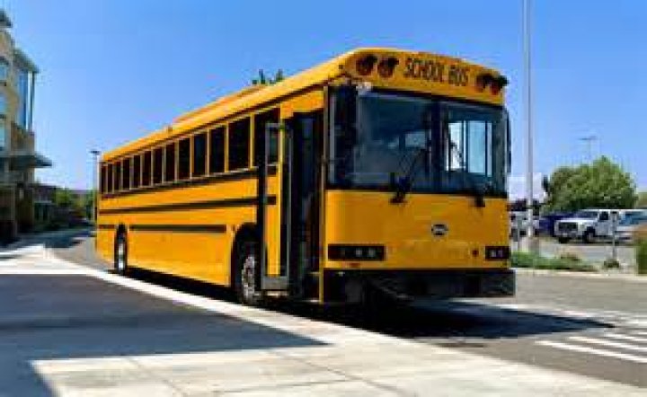 What is a Type 1 school bus