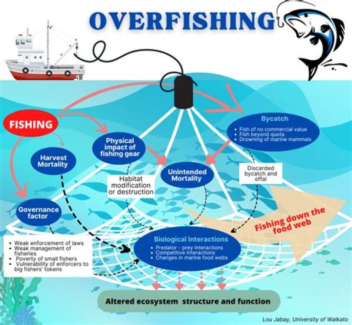 What is an example of overfishing