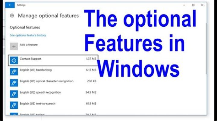 What is an optional basis adjustment