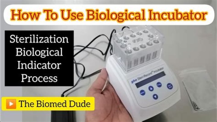 What is biological indicator testing
