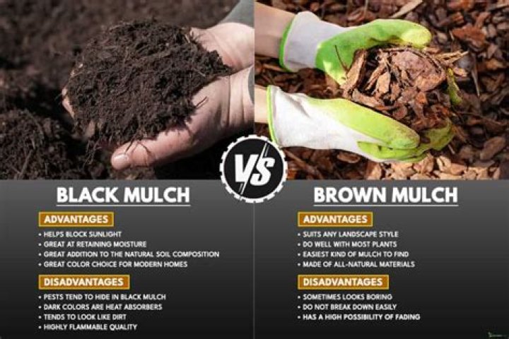What is brown mulch dyed with