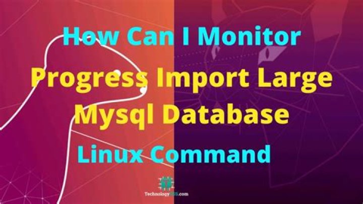 What is considered a large MySQL database