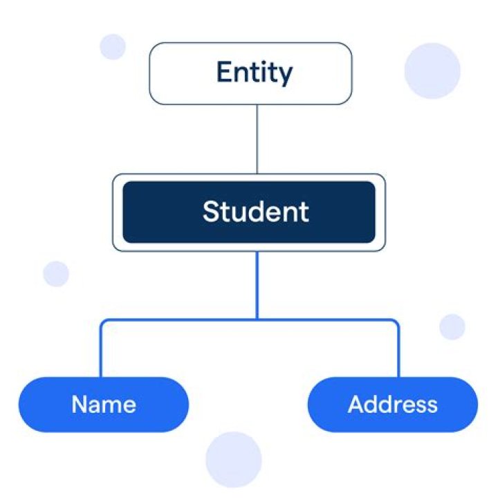 What is database entity class