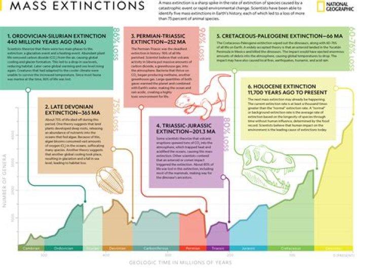What is extinction in learning