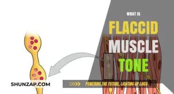 What is flaccid muscle tone