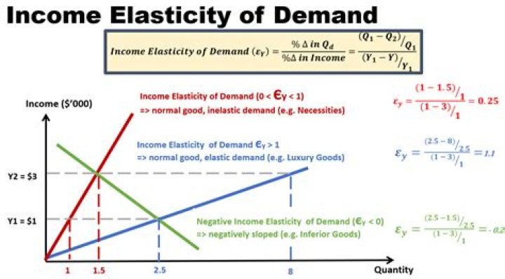 What is low income elasticity of demand