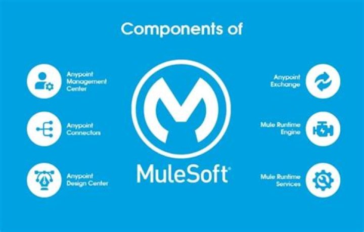 What is Mulesoft tool