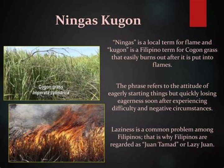 What is Ngarud in Ilocano