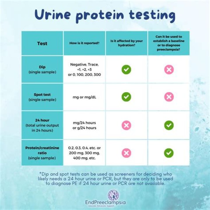 What is normal protein level in urine during pregnancy