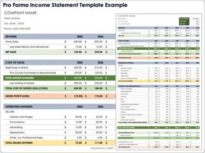 What is on a pro forma income statement