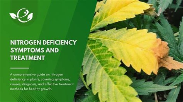 What is plant deficiency