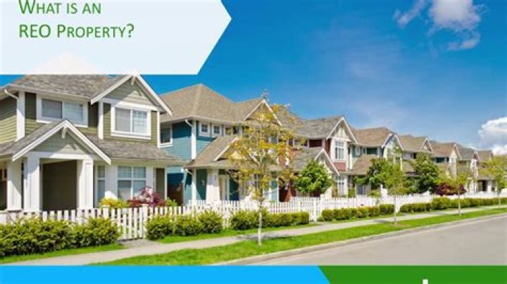 What is REO property listings
