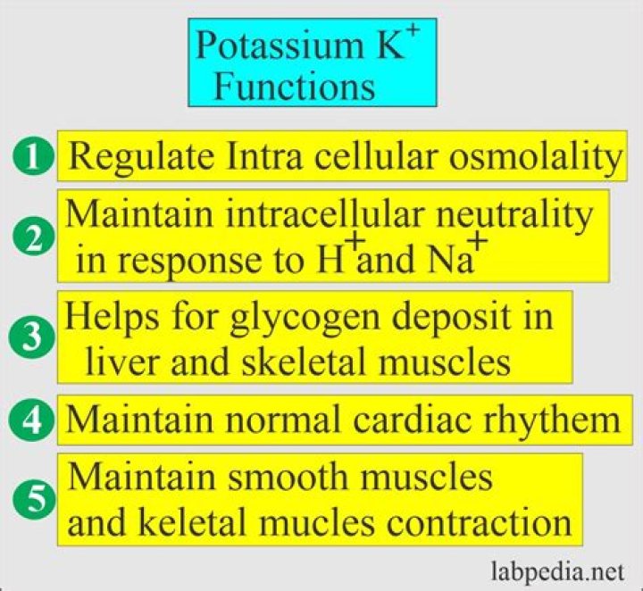 What is serum potassium