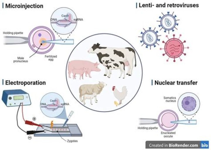 What is synteny and how do we use it in genomics and genetics