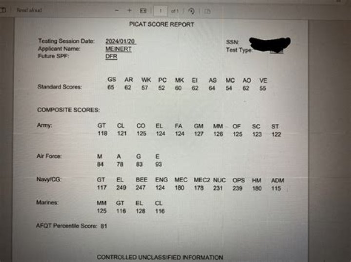 What is the army PiCAT