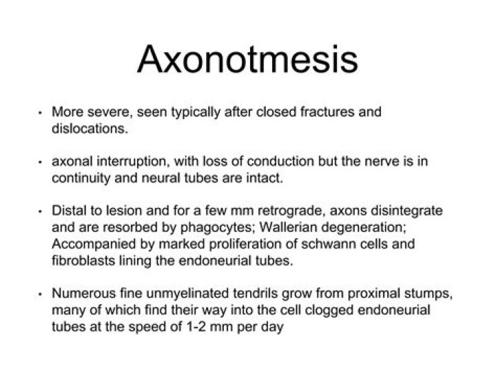 What is the Axonotmesis