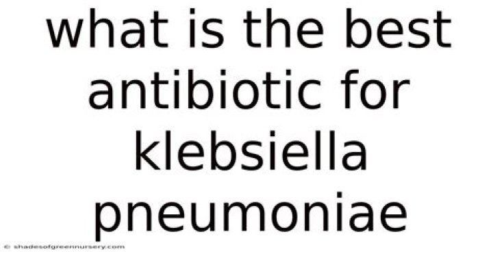 What is the best antibiotic for Klebsiella pneumoniae