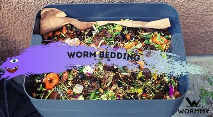 What is the best bedding for worms