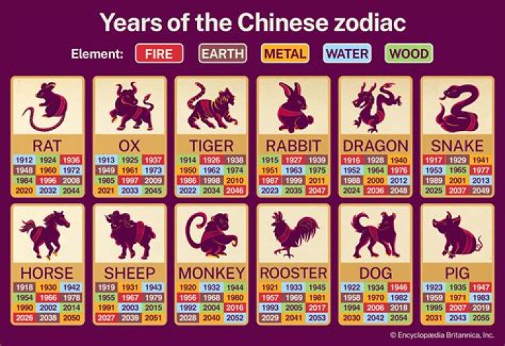 What is the Chinese symbol for 2020
