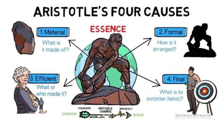 What is the contribution of Aristotle in science