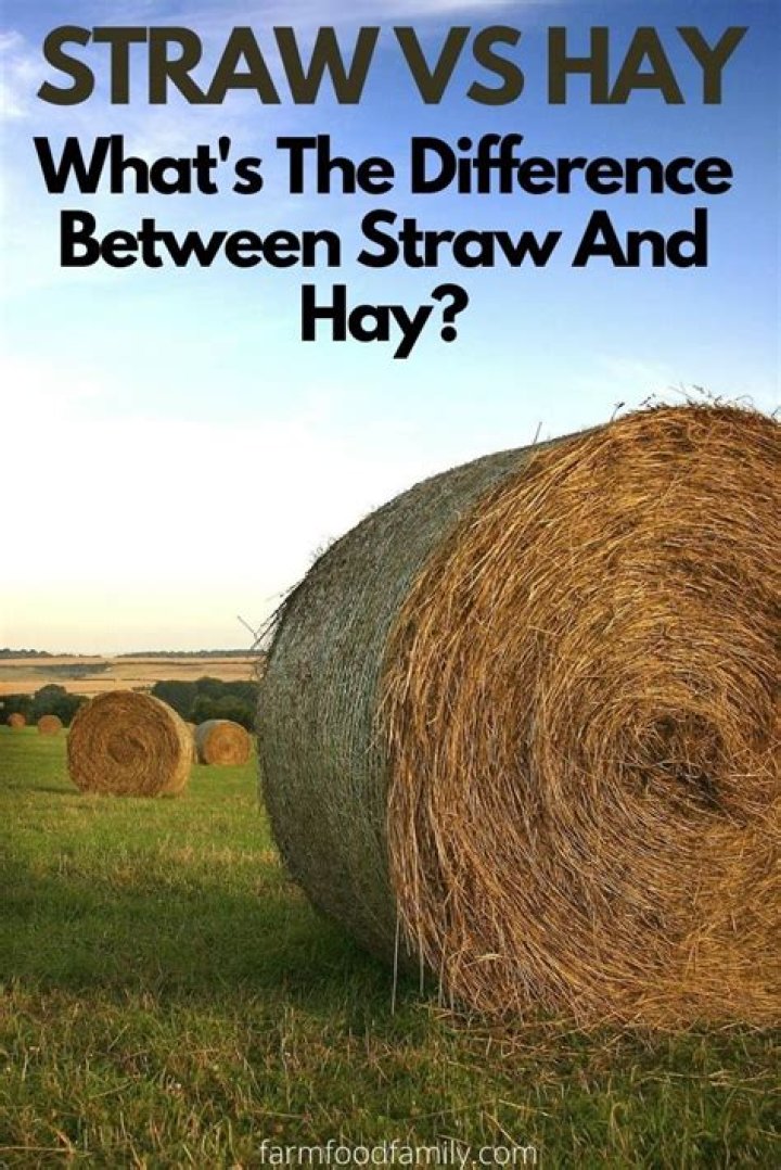 What is the difference between hay and straw bales