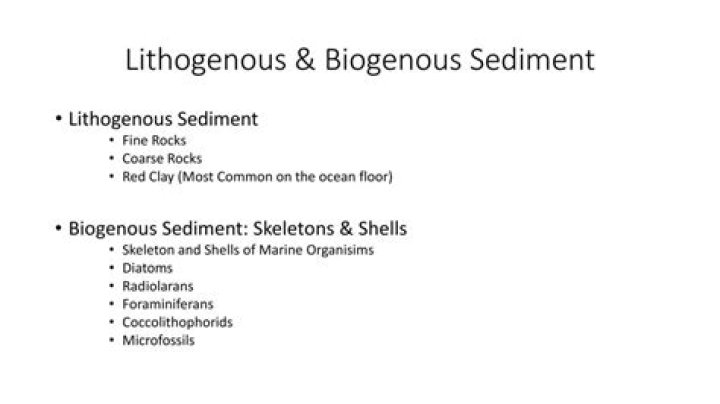 What is the difference between Lithogenous sediment and Biogenous sediment