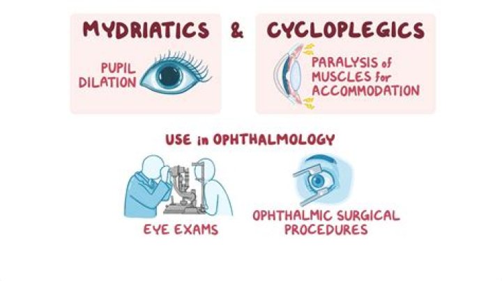 What is the difference between mydriasis and Cycloplegia