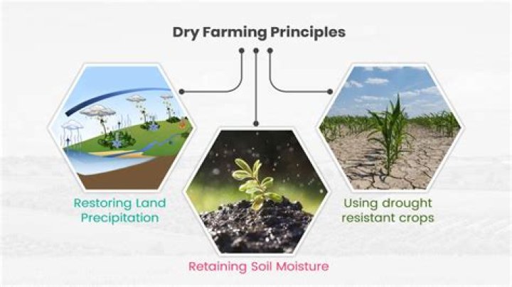 What is the dry farming method