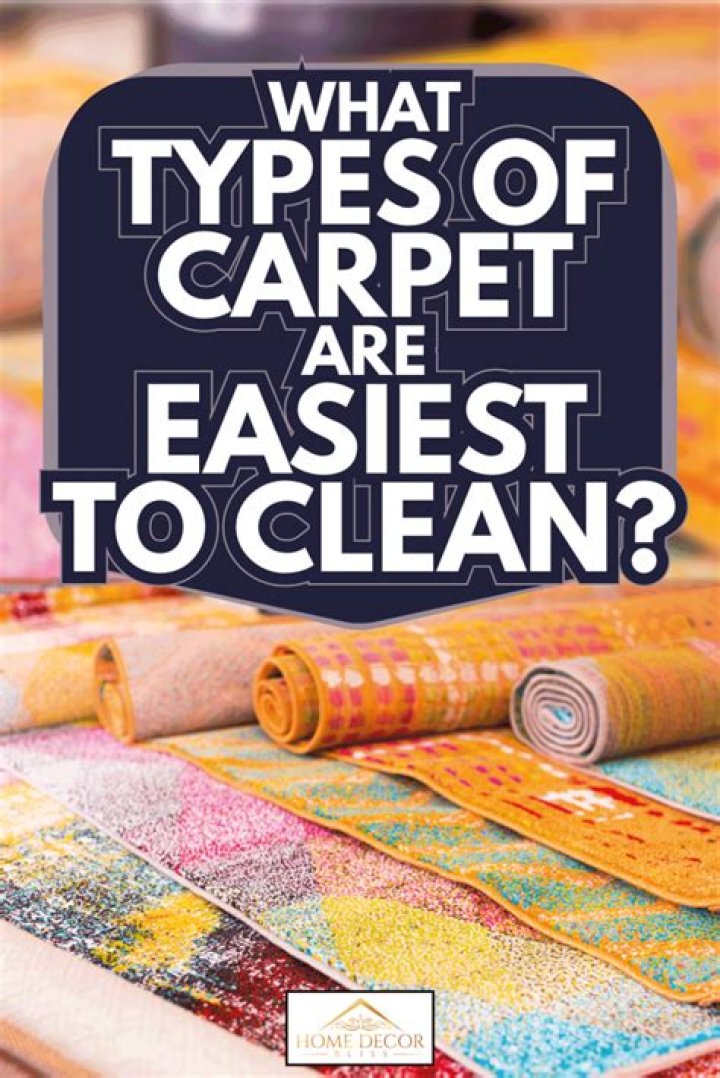 What is the easiest carpet to clean