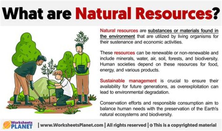 What is the natural resource in The Lorax