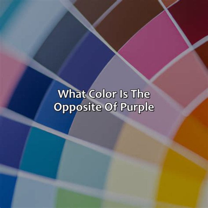 What is the opposite of consolidated