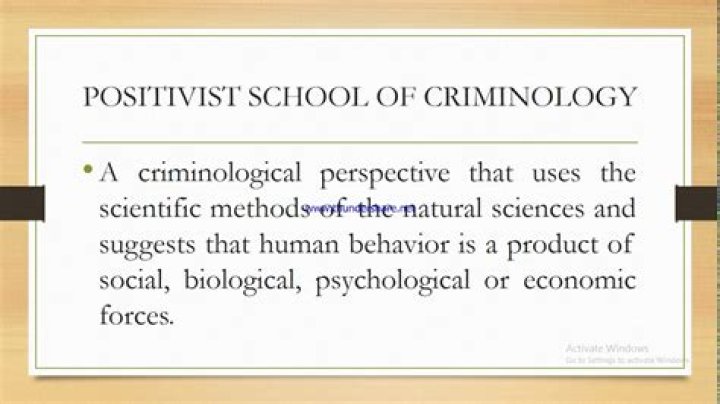 What is the positivist theory