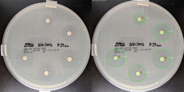 What is the purpose of the Buyers Guide