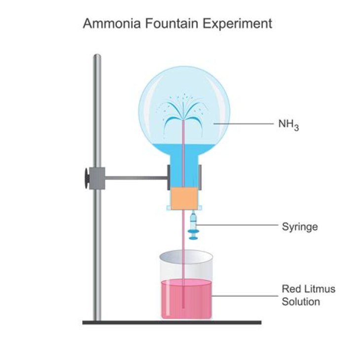 What is the smell of ammonia gas