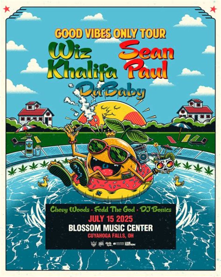 What is the VIP box at Blossom Music Center