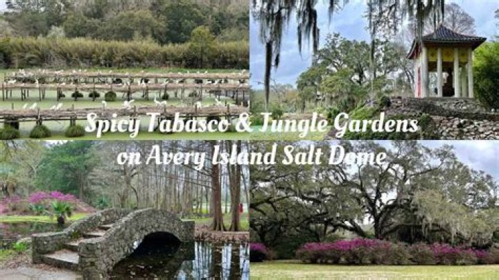 What is there to do in Lake Chabot