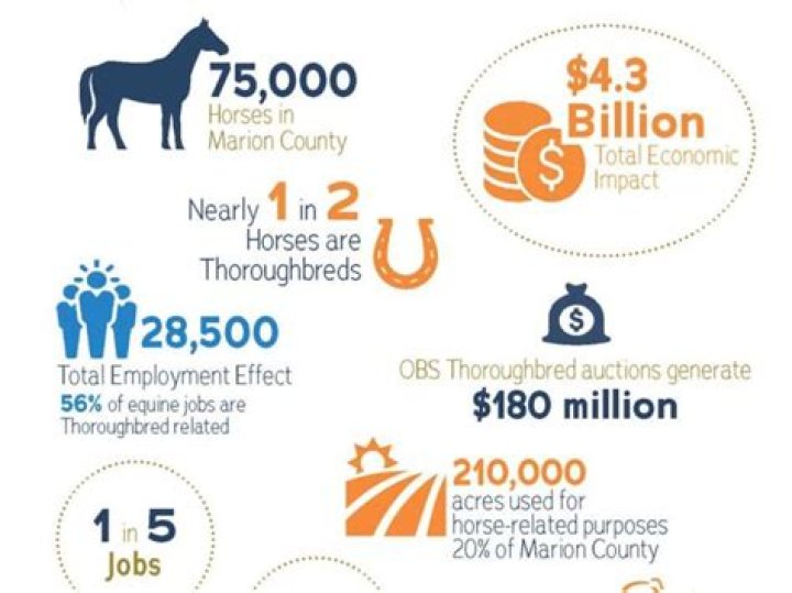 What jobs are in the equine industry