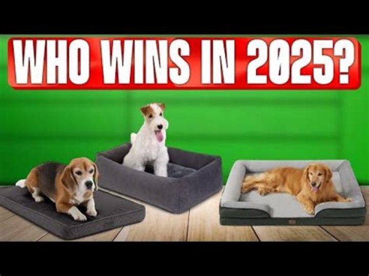 What makes a dog bed orthopedic