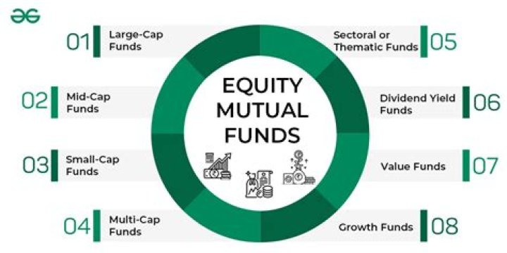 What mutual funds have outperformed the S