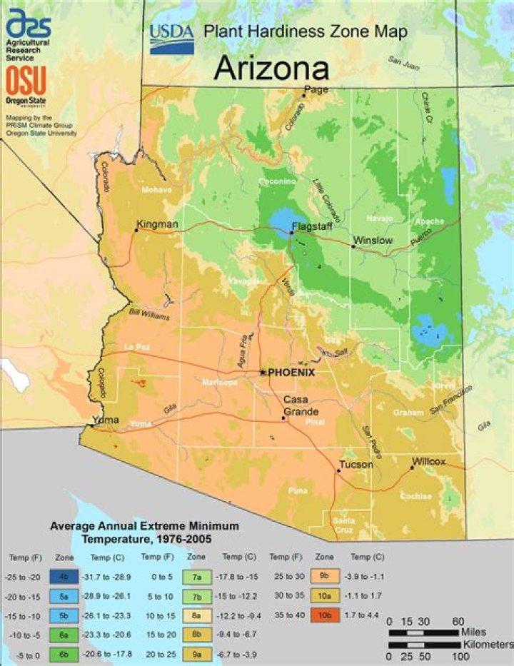What planting zone is Arizona