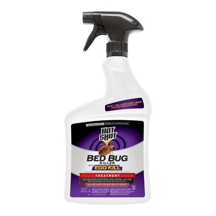 What spray do professionals use for bed bugs