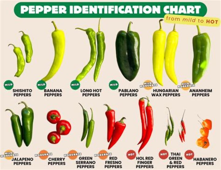 What type of peppers are sport peppers