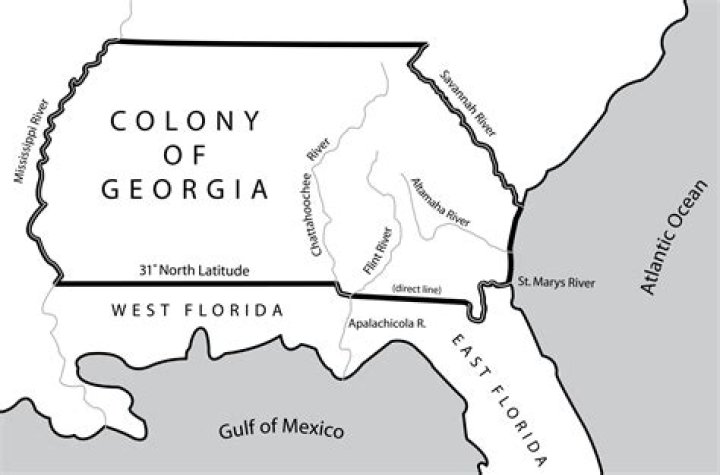 What was banned from the colony of Georgia