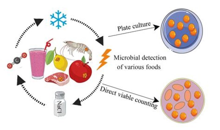 When foods are kept in refrigeration bacterial growth