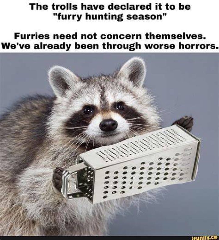 When Is Furry Hunting Season