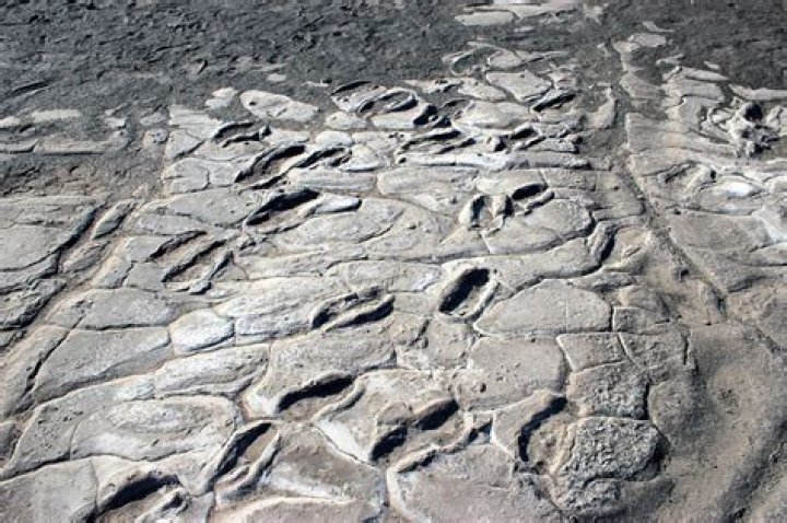 Where are the Laetoli footprints