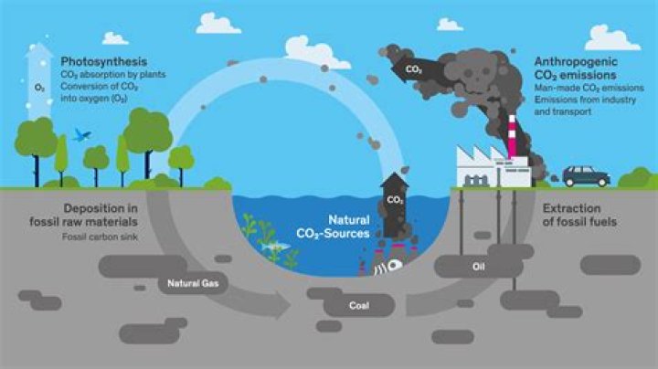 Where do algae get carbon dioxide from