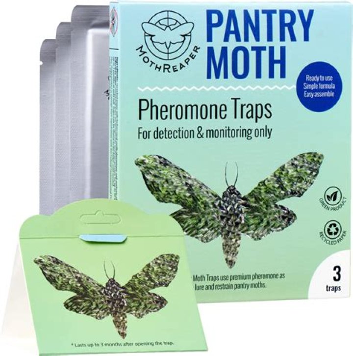 Where do you put pantry moth traps