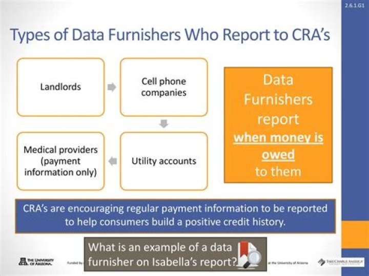 Who are data furnishers and what do they report