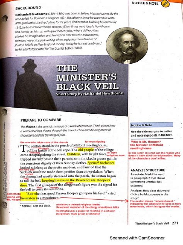 Who is the protagonist in The Ministers Black Veil